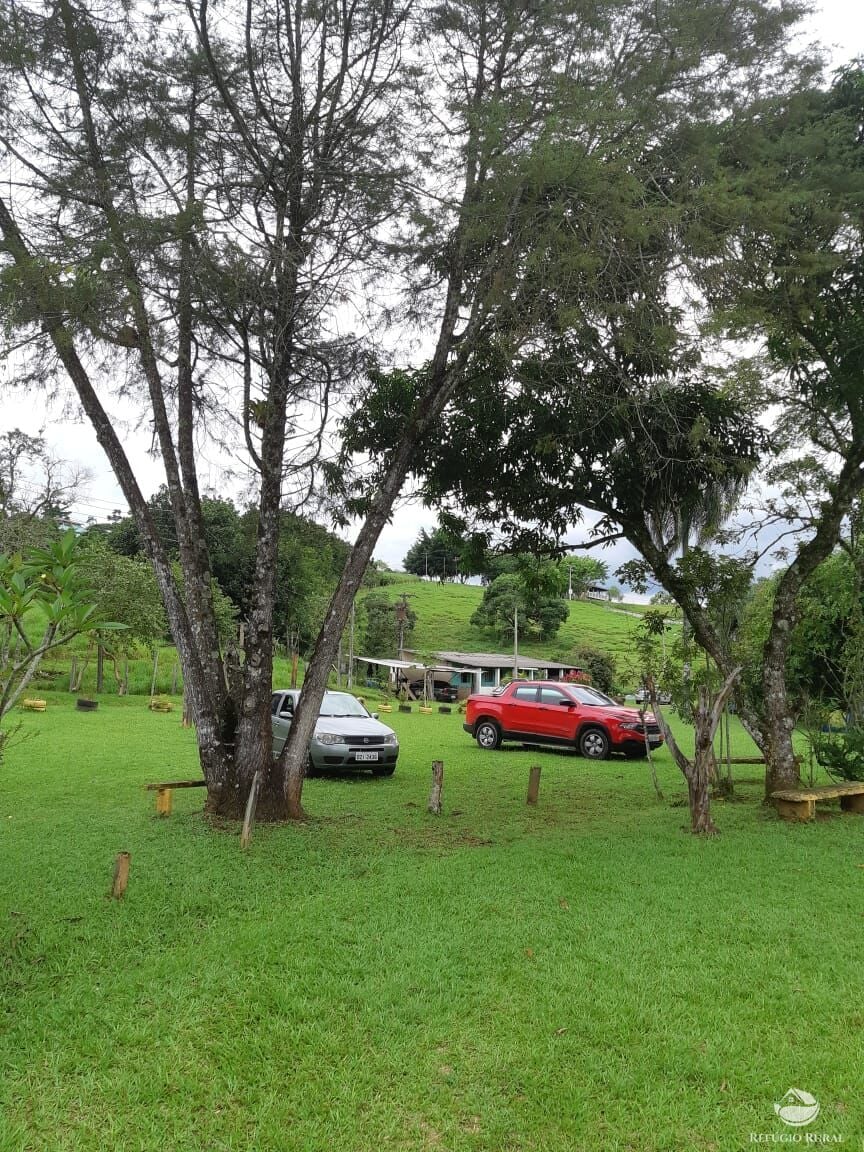 Sítio, 3 hectares - Foto 12