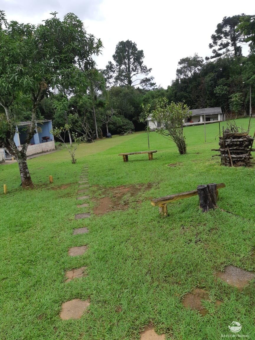Sítio, 3 hectares - Foto 10