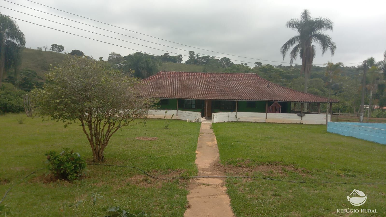 Sítio, 3 hectares - Foto 11