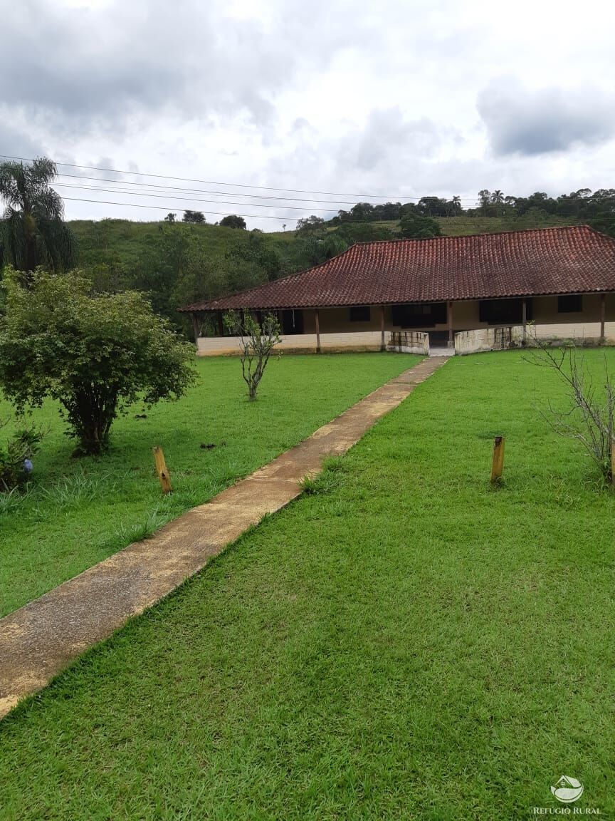 Sítio, 3 hectares - Foto 6