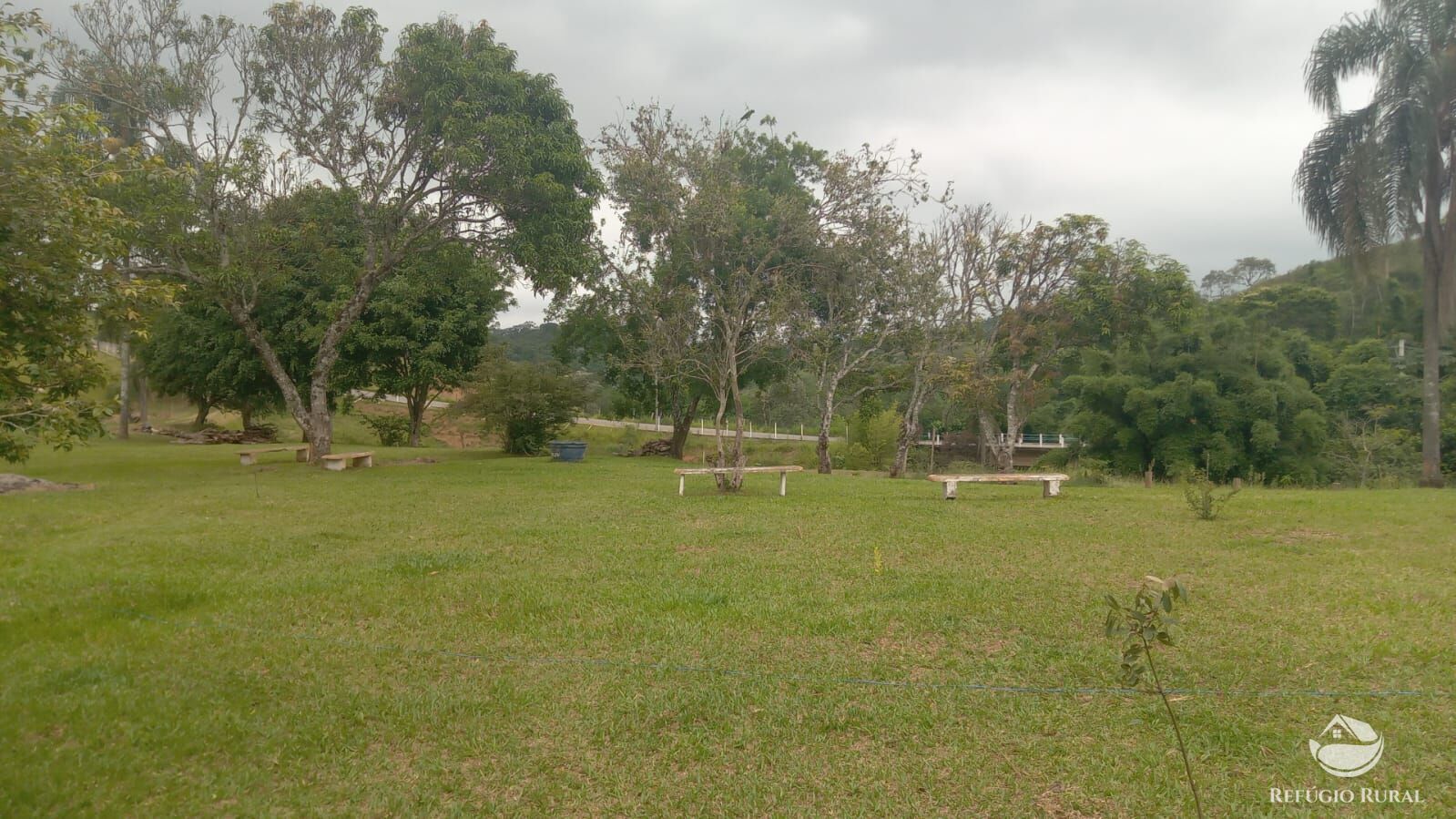 Sítio, 3 hectares - Foto 9