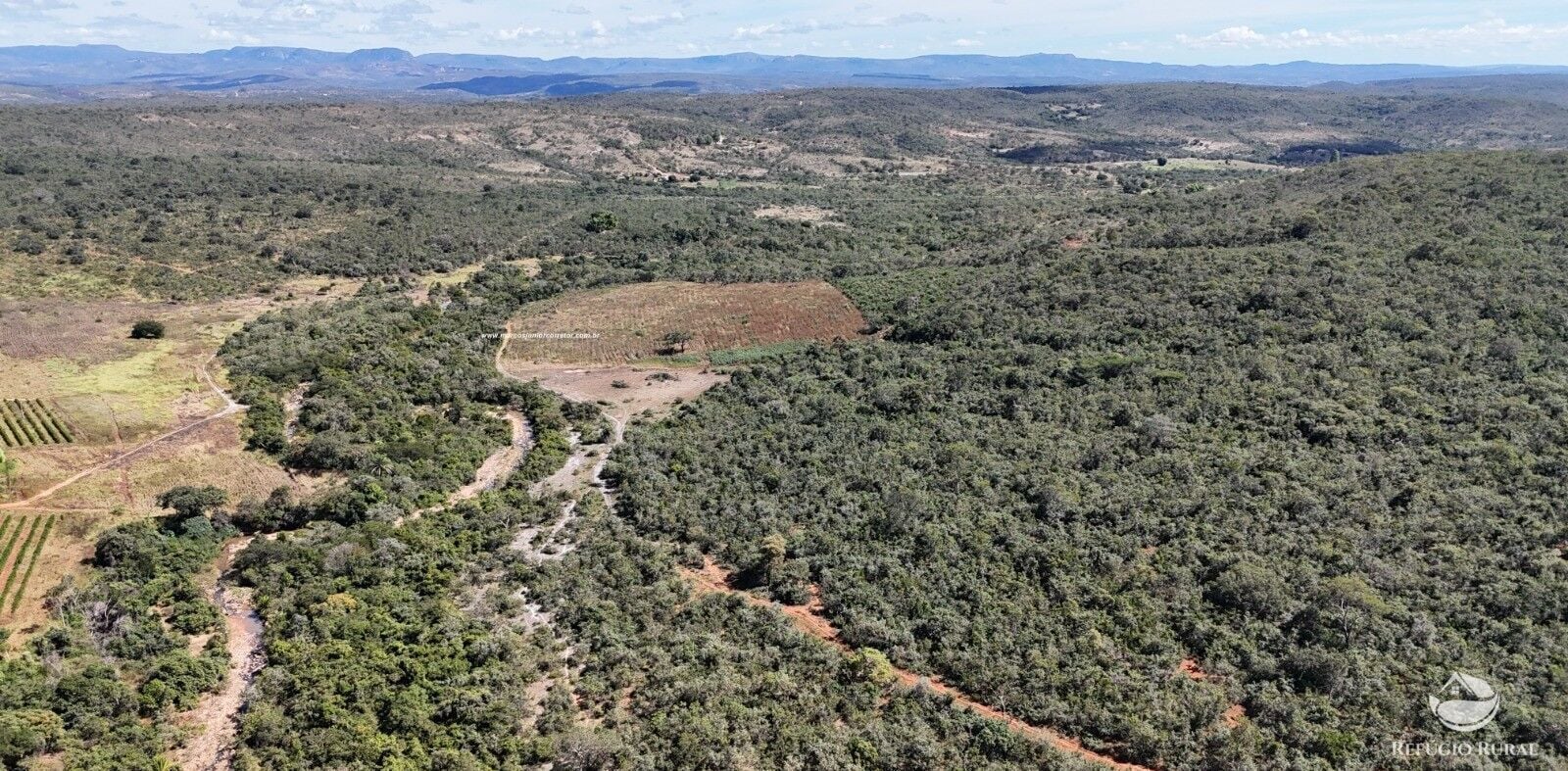 Fazenda, 1454 hectares - Foto 7