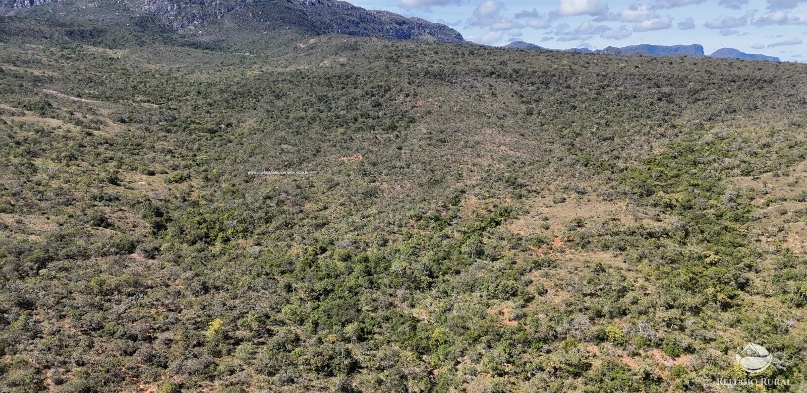 Fazenda, 1454 hectares - Foto 17