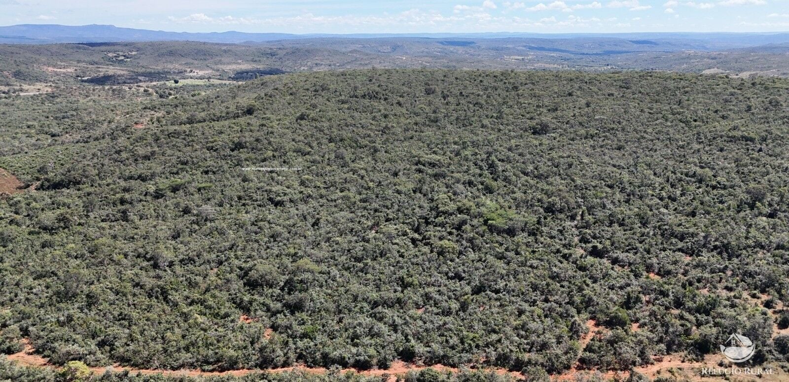 Fazenda, 1454 hectares - Foto 23