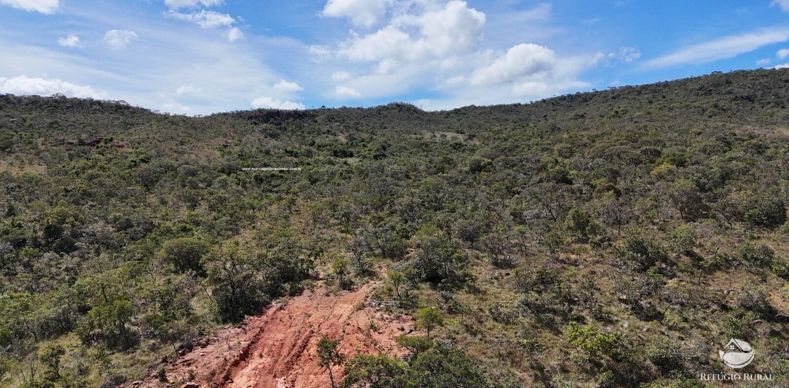 Fazenda, 1454 hectares - Foto 14