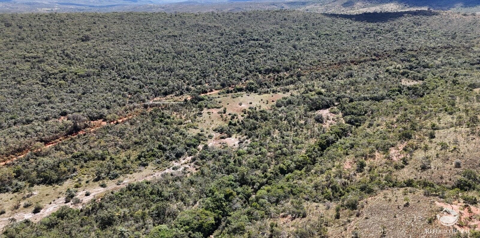 Fazenda, 1454 hectares - Foto 28