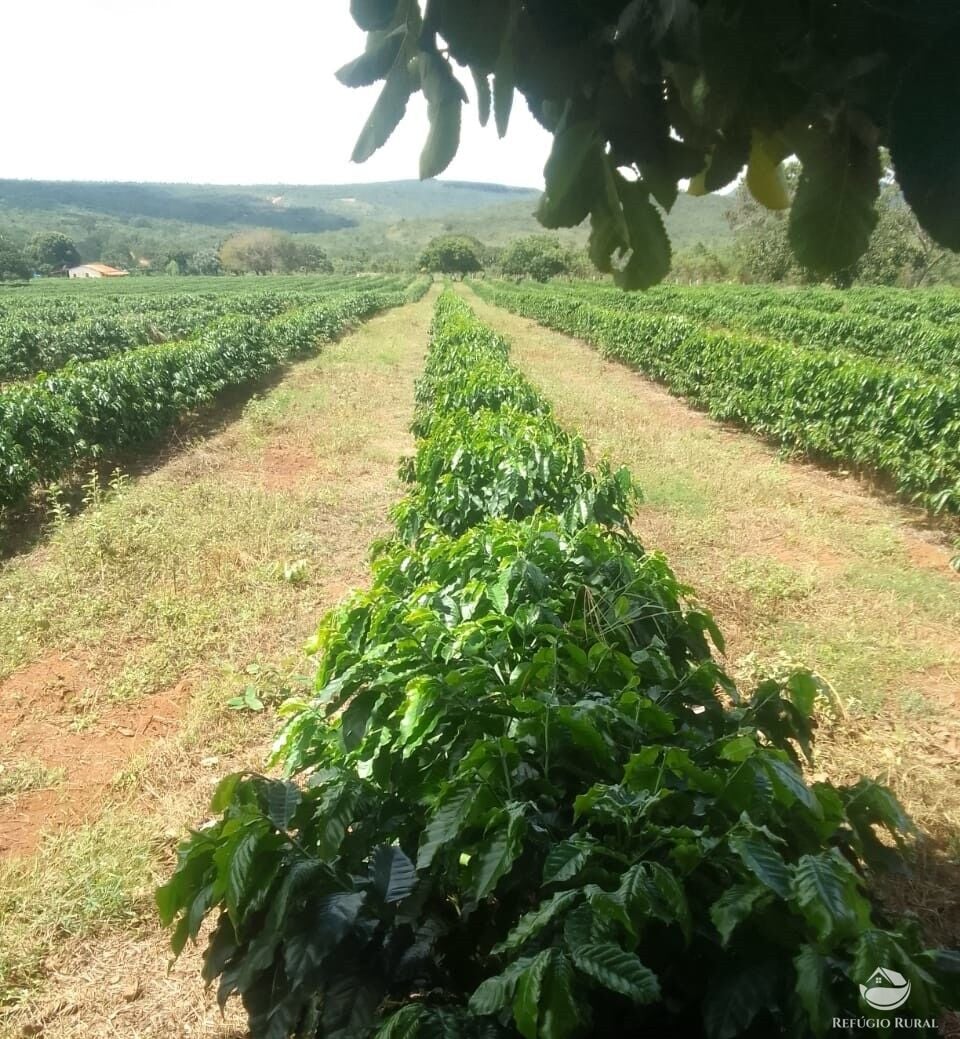 Fazenda, 1454 hectares - Foto 5