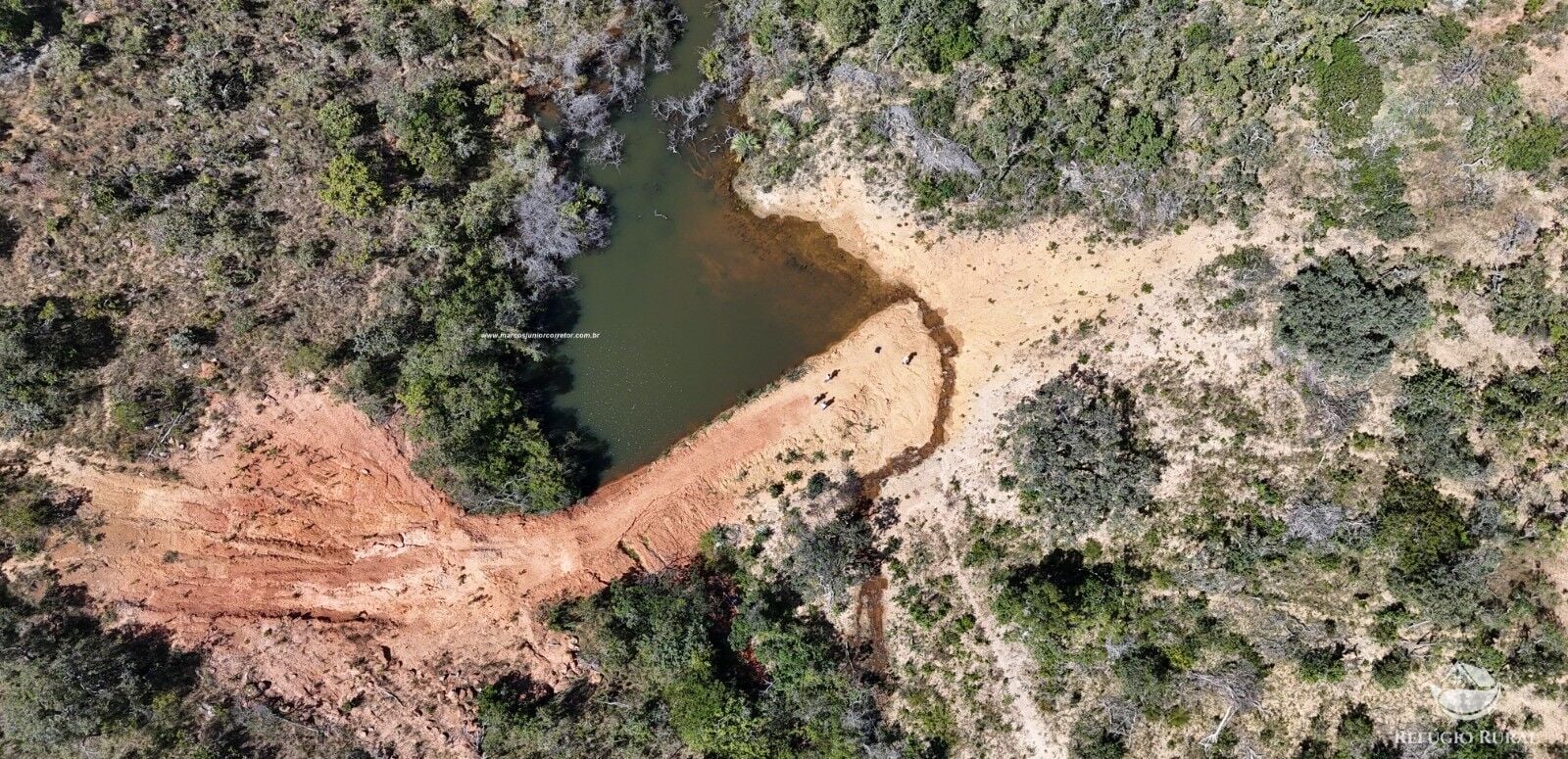 Fazenda, 1454 hectares - Foto 18