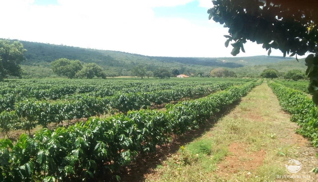 Fazenda, 1454 hectares - Foto 4