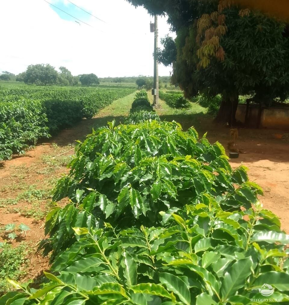Fazenda, 1454 hectares - Foto 13