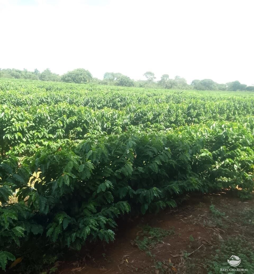 Fazenda, 1454 hectares - Foto 16