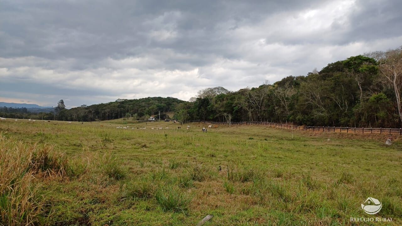 Fazenda, 97 hectares - Foto 42