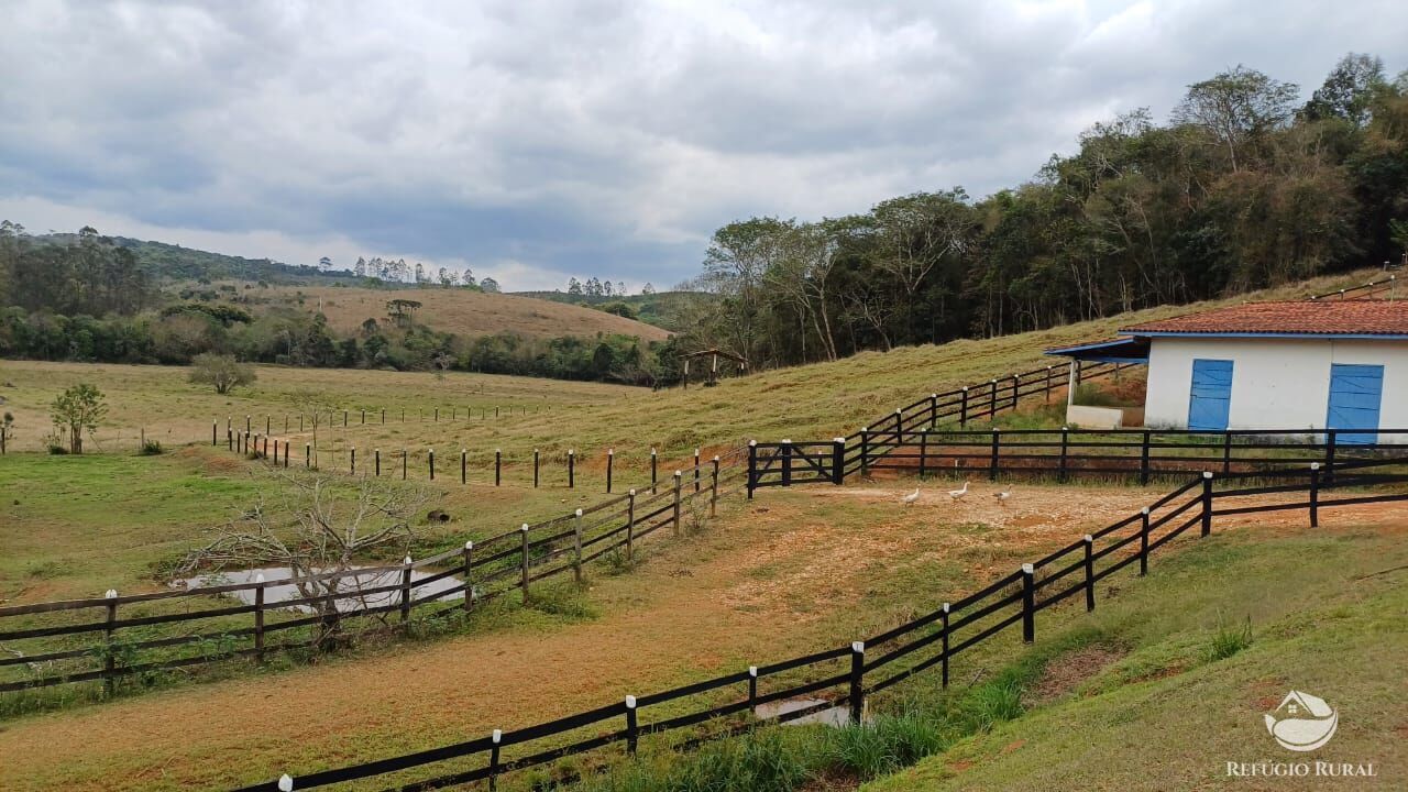 Fazenda, 97 hectares - Foto 9