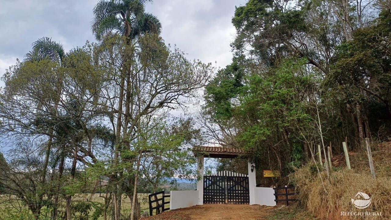 Fazenda, 97 hectares - Foto 34