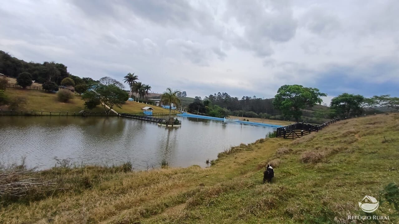 Fazenda, 97 hectares - Foto 11