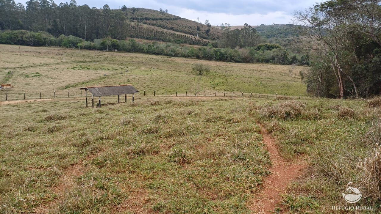Fazenda, 97 hectares - Foto 24