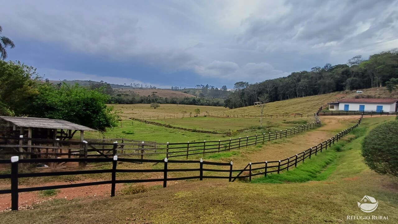 Fazenda, 97 hectares - Foto 31