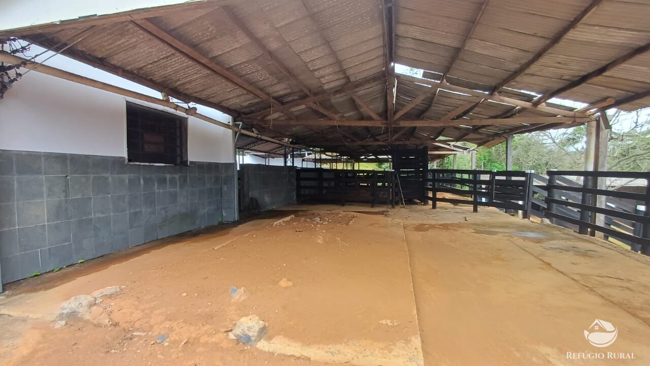 Fazenda, 97 hectares - Foto 35