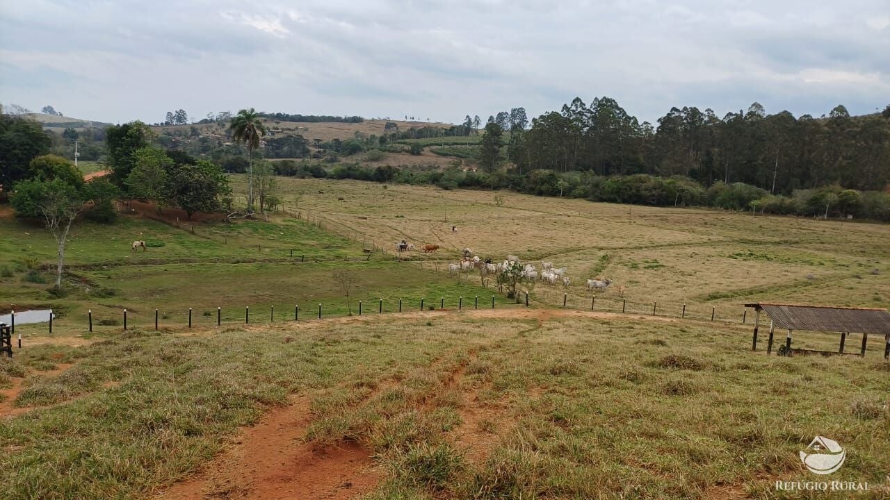 Fazenda, 97 hectares - Foto 32