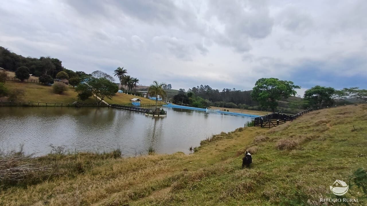 Fazenda, 97 hectares - Foto 16