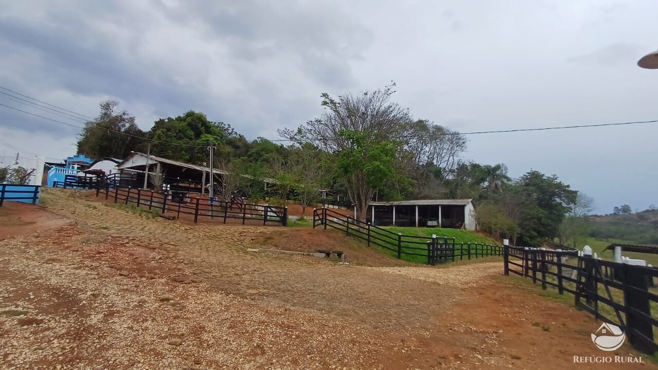 Fazenda, 97 hectares - Foto 45