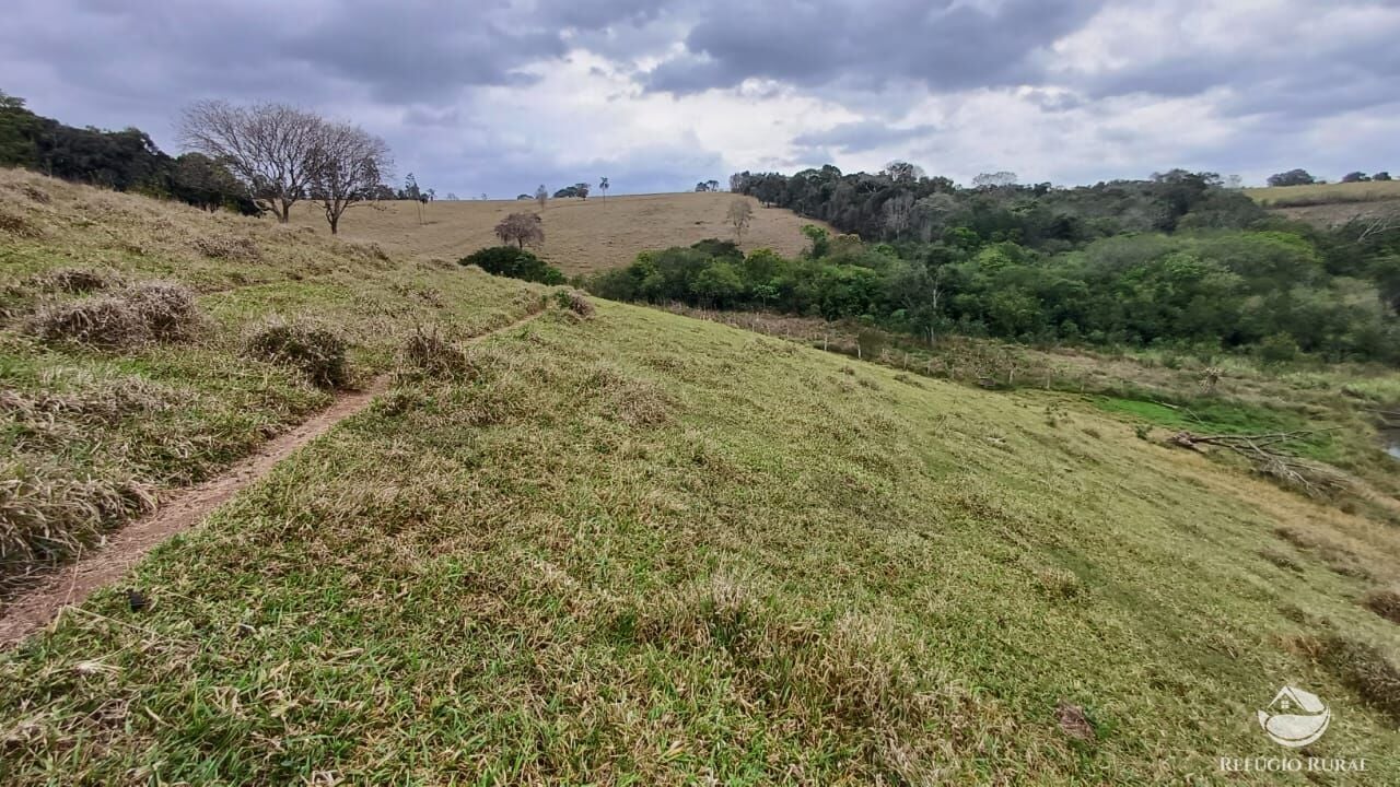 Fazenda, 97 hectares - Foto 41