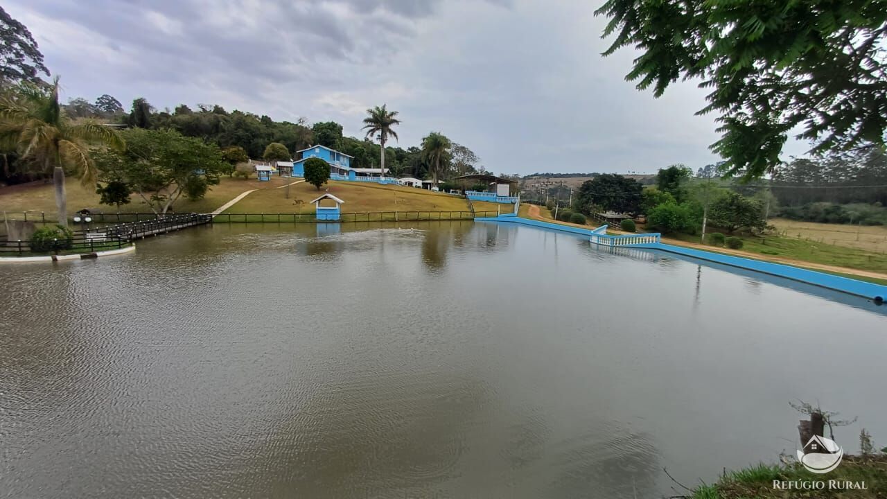 Fazenda, 97 hectares - Foto 22