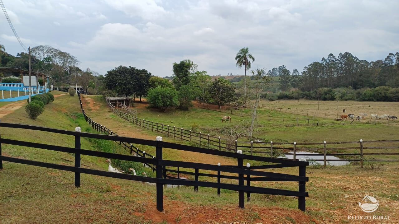Fazenda, 97 hectares - Foto 8