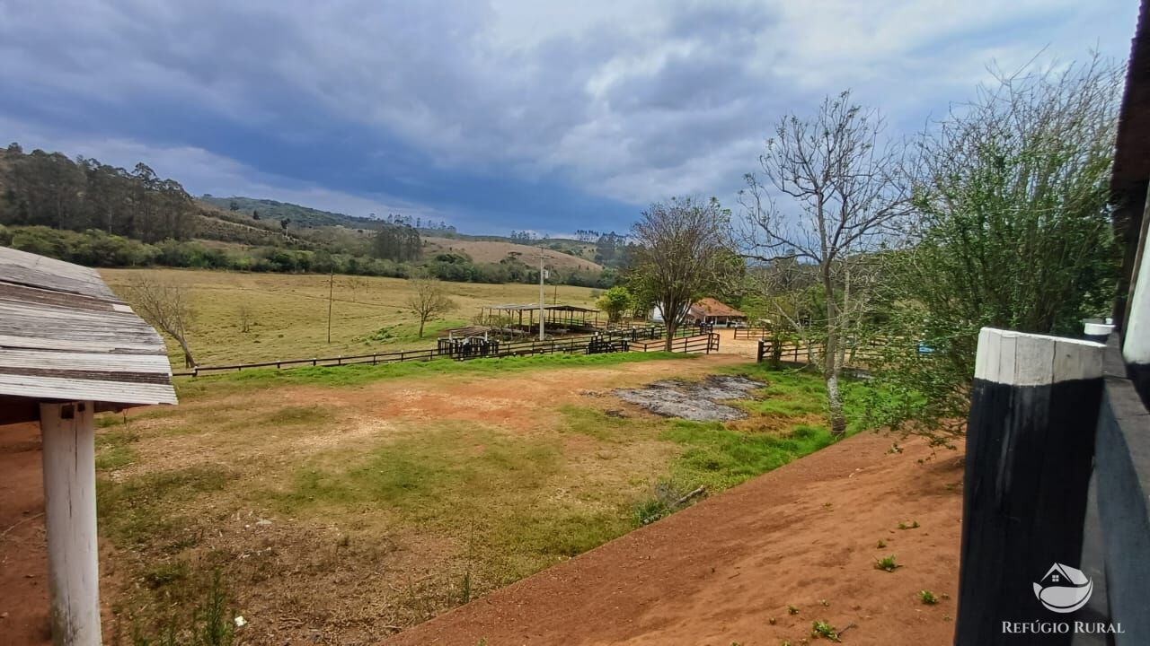 Fazenda, 97 hectares - Foto 29