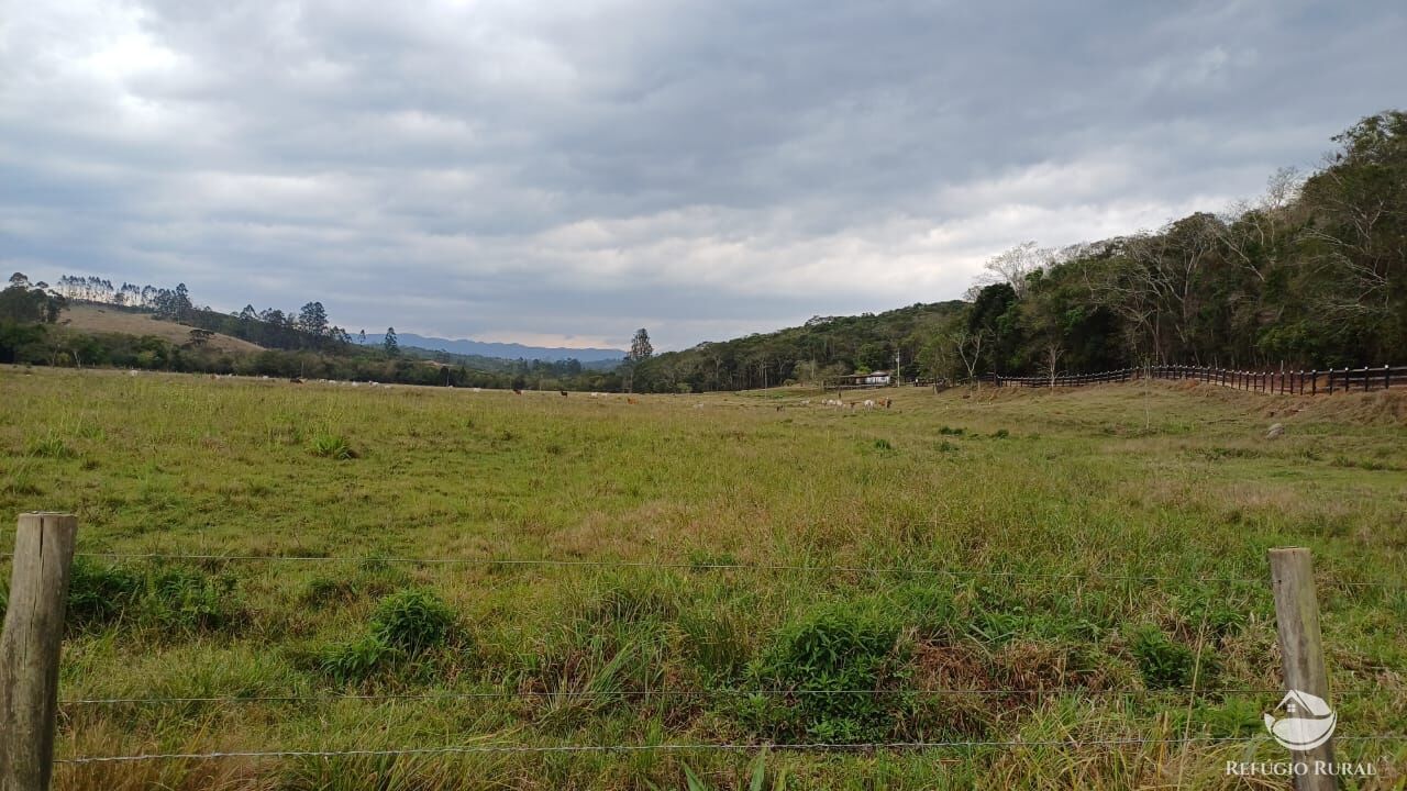 Fazenda, 97 hectares - Foto 30