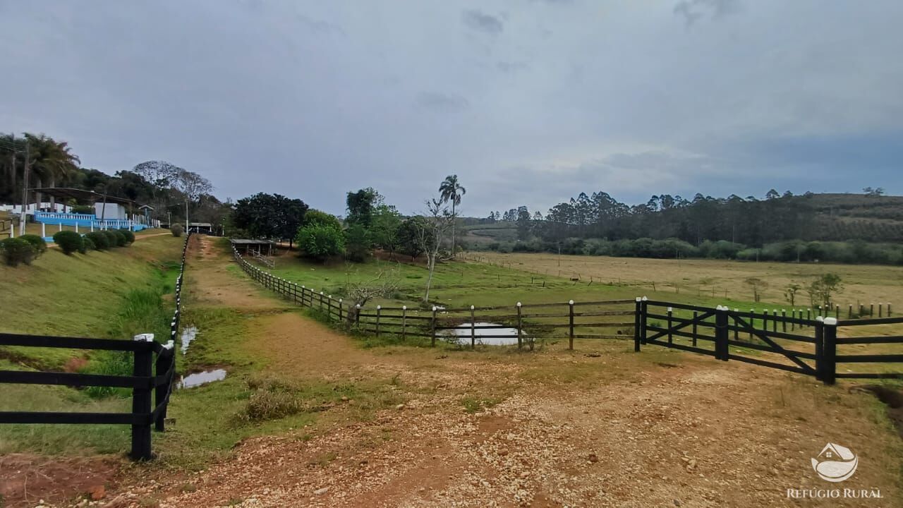 Fazenda, 97 hectares - Foto 25