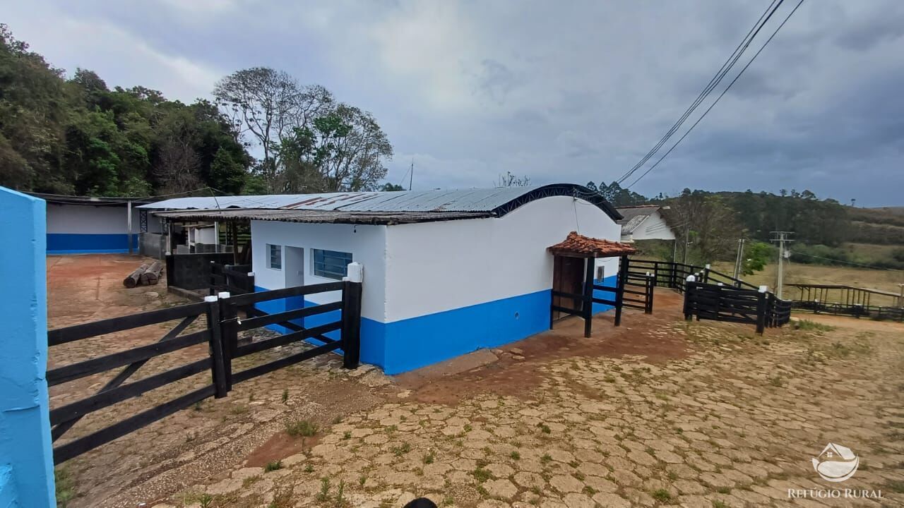 Fazenda, 97 hectares - Foto 33