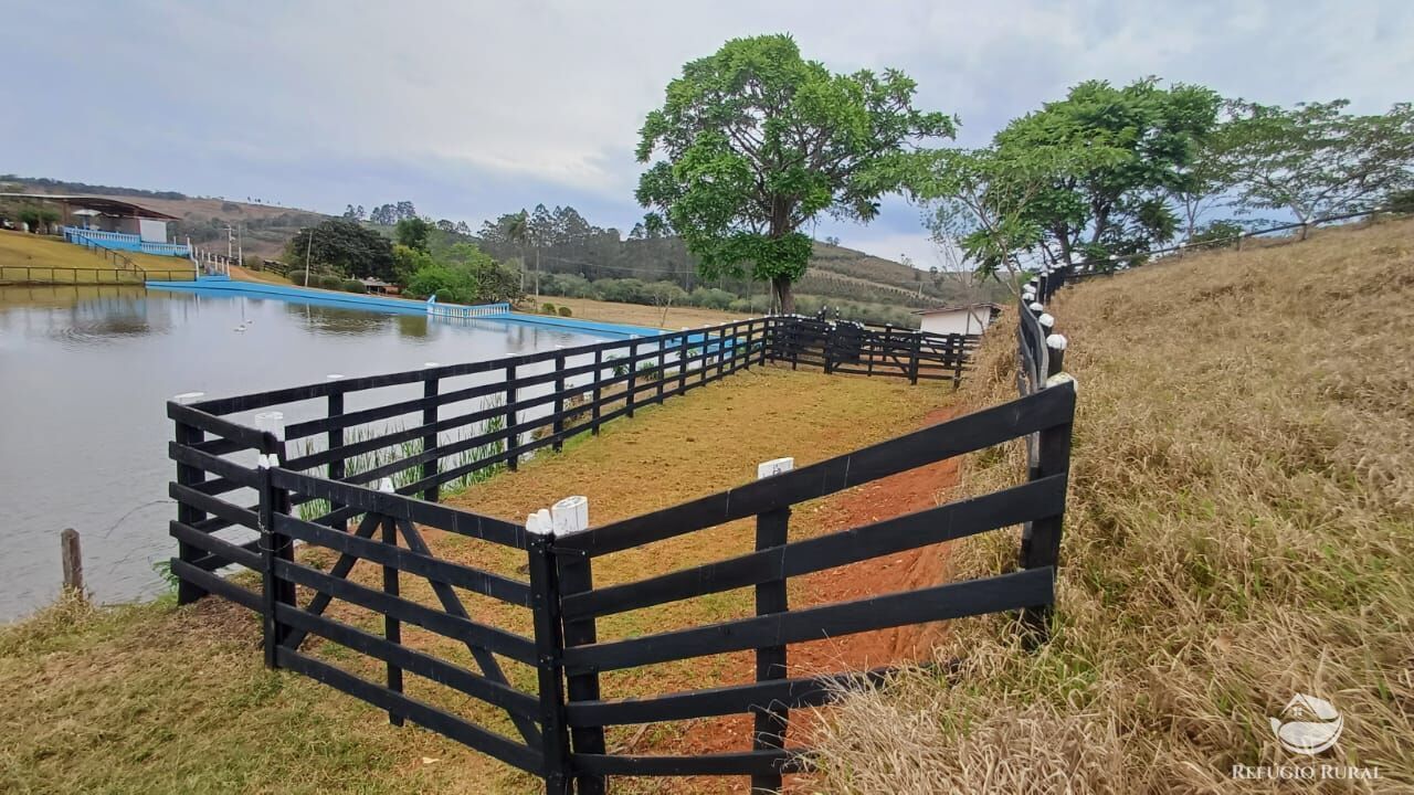 Fazenda, 97 hectares - Foto 20
