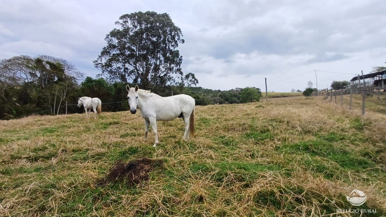Fazenda, 97 hectares - Foto 38
