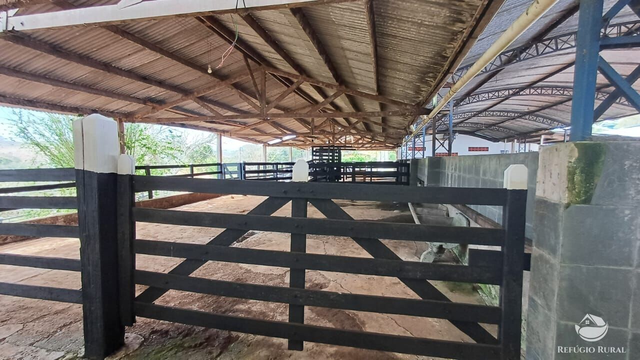Fazenda, 97 hectares - Foto 43
