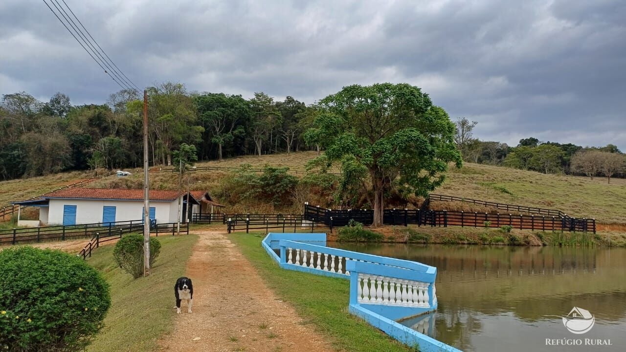 Fazenda, 97 hectares - Foto 39