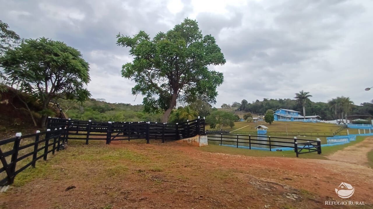 Fazenda, 97 hectares - Foto 40
