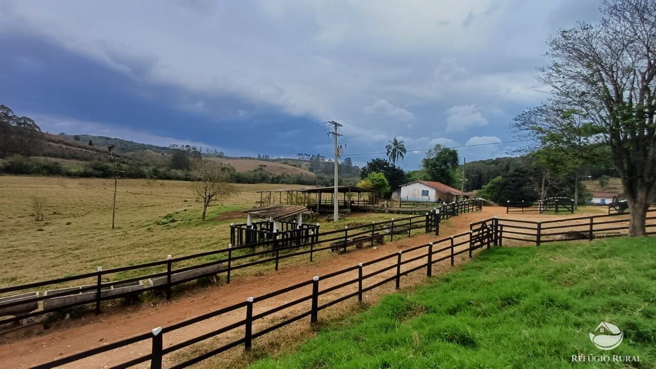 Fazenda, 97 hectares - Foto 46