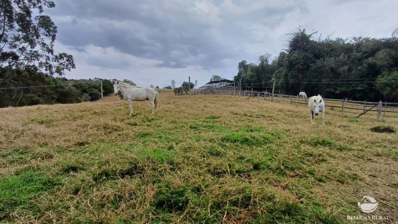 Fazenda, 97 hectares - Foto 44