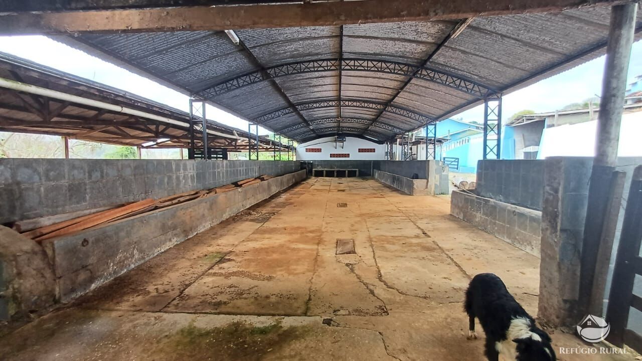 Fazenda, 97 hectares - Foto 26