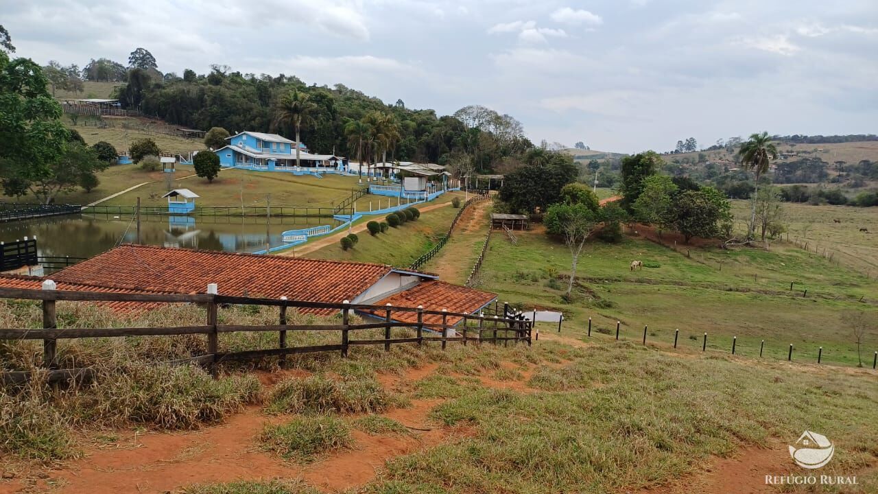 Fazenda, 97 hectares - Foto 7