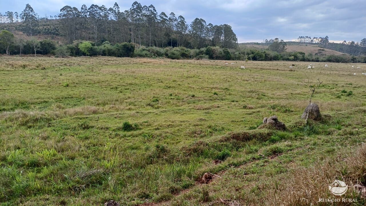 Fazenda, 97 hectares - Foto 13