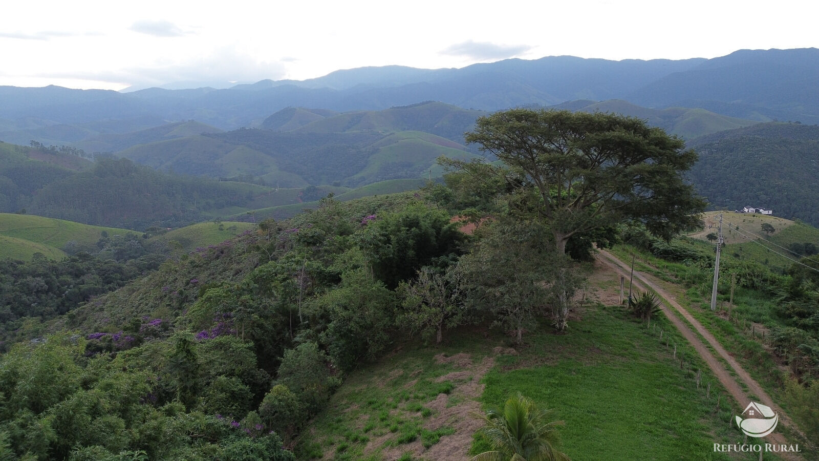 Chácara, 118 hectares - Foto 11