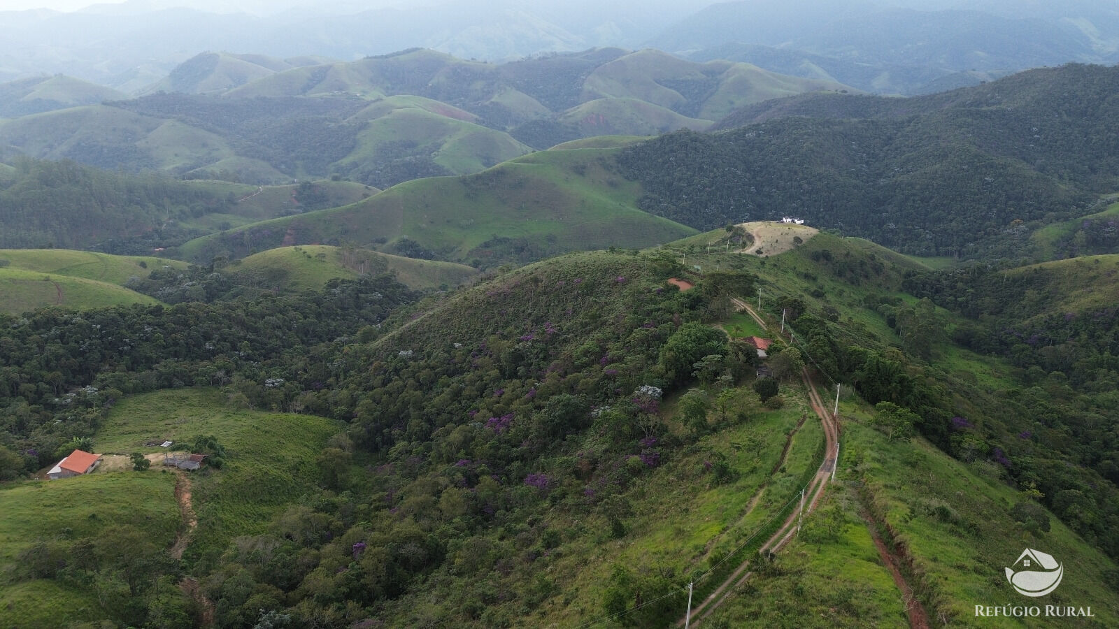 Chácara, 118 hectares - Foto 10
