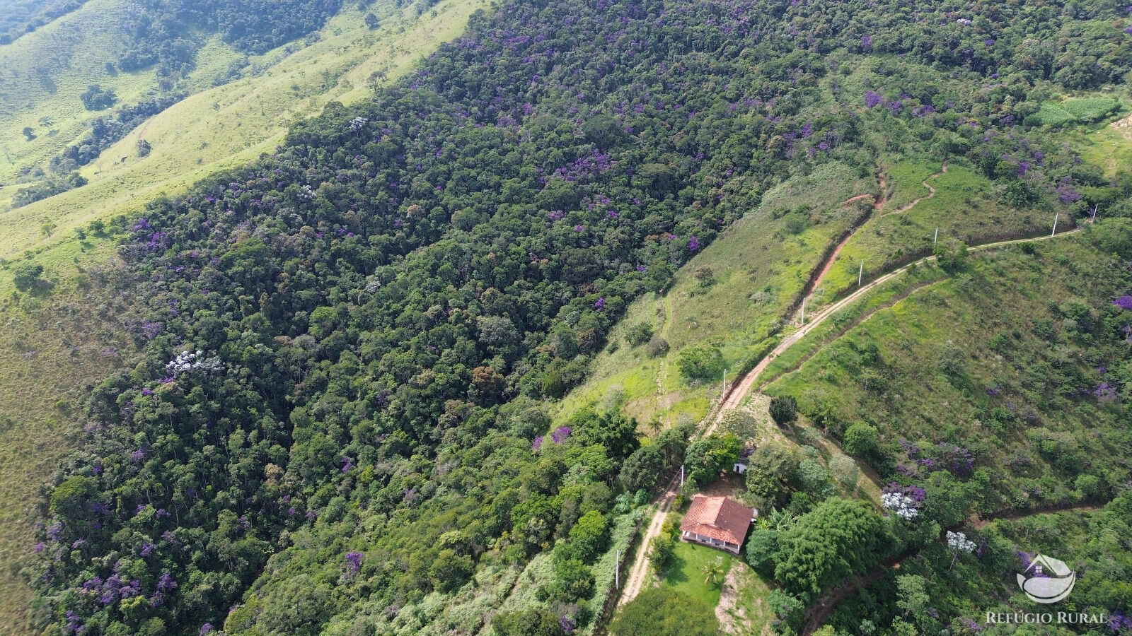 Chácara, 118 hectares - Foto 13