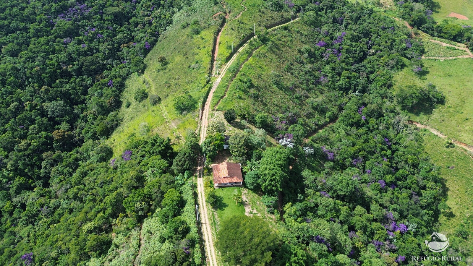 Chácara, 118 hectares - Foto 4