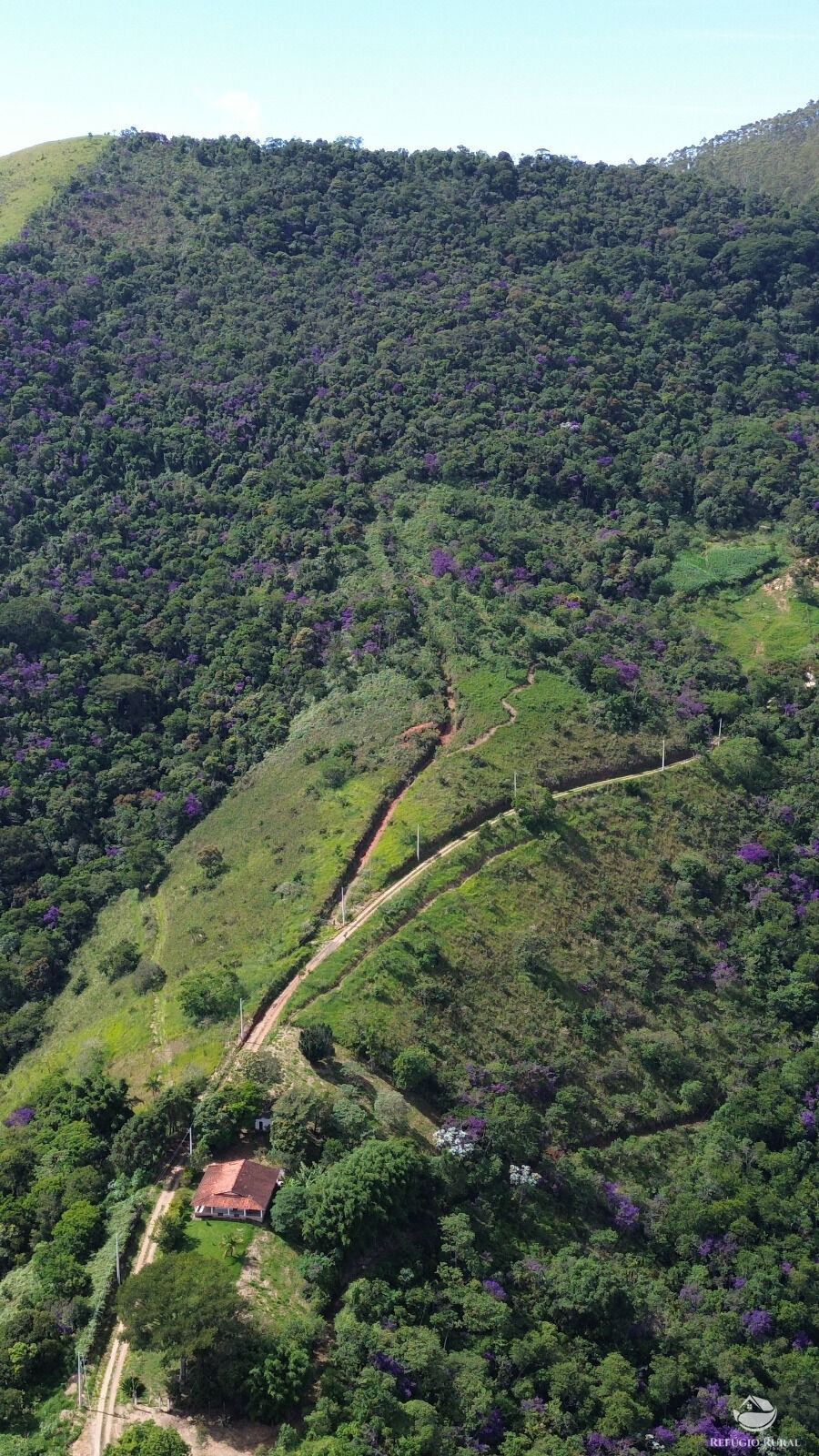 Chácara, 118 hectares - Foto 14