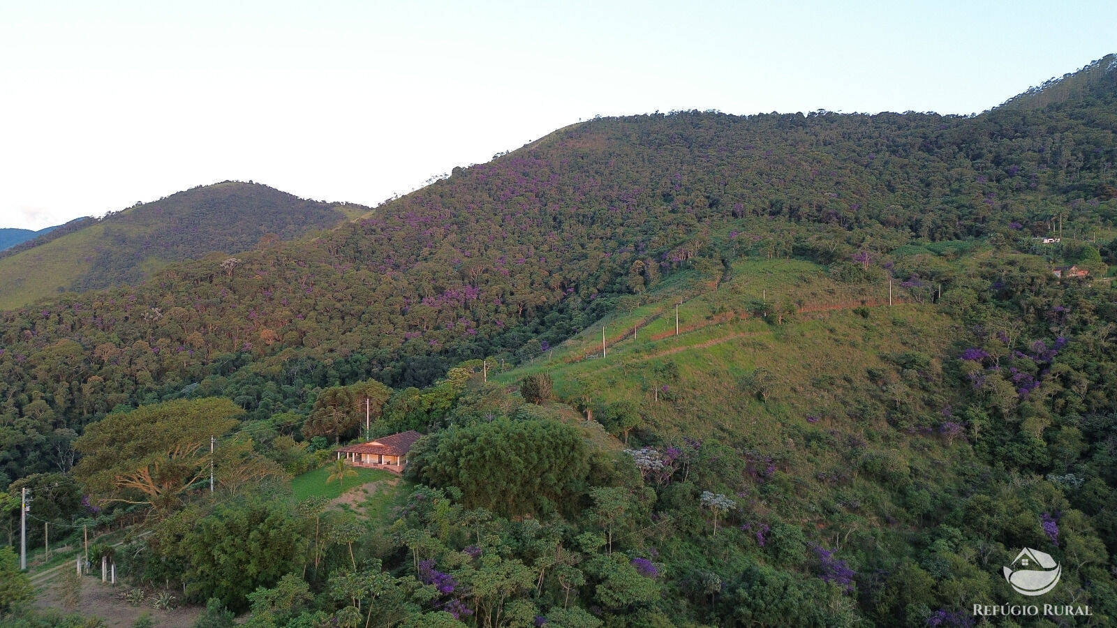 Chácara, 118 hectares - Foto 12