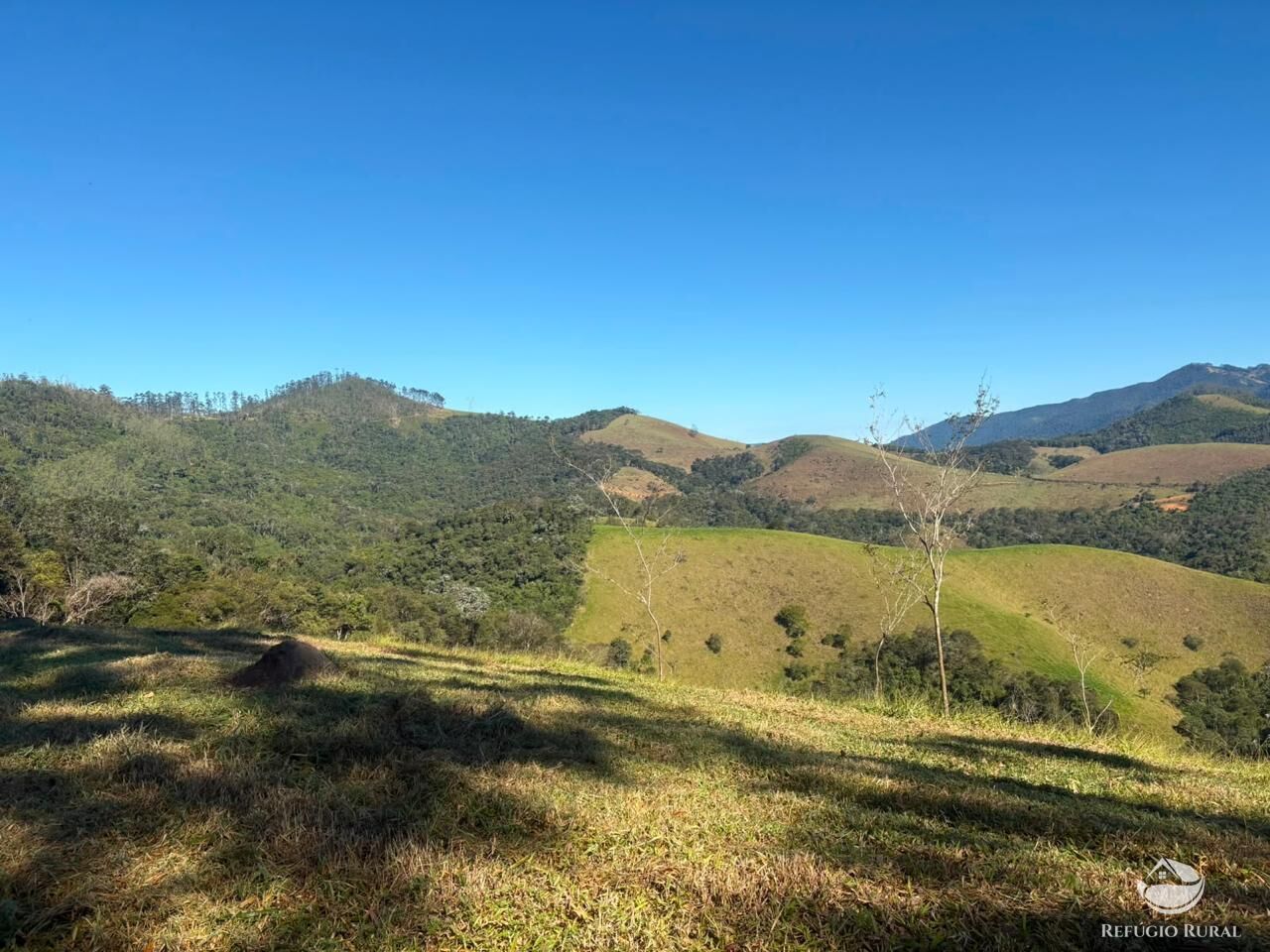 Sítio, 13 hectares - Foto 4