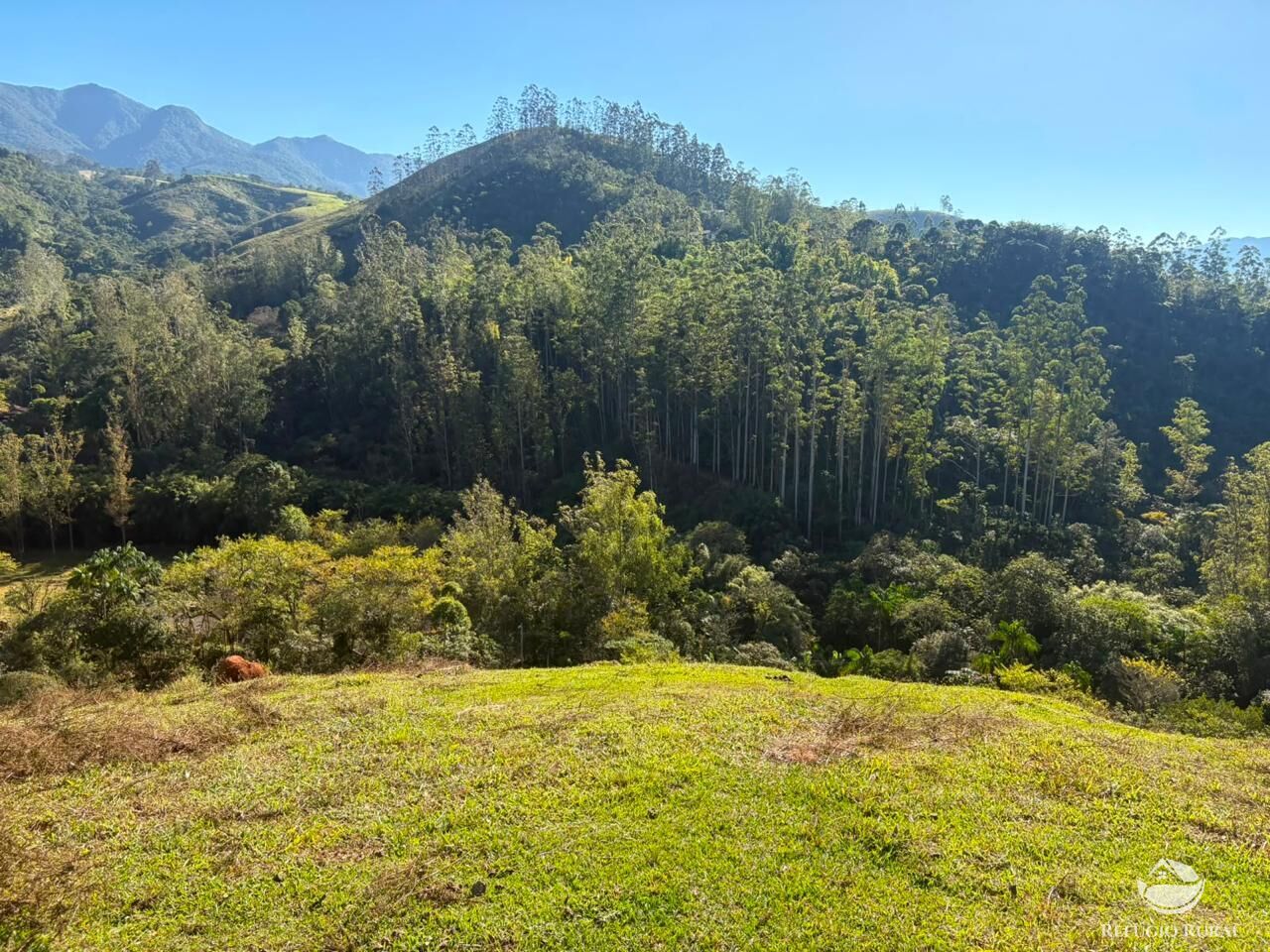 Sítio, 13 hectares - Foto 15